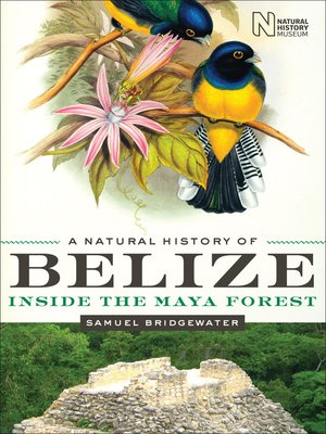 cover image of A Natural History of Belize